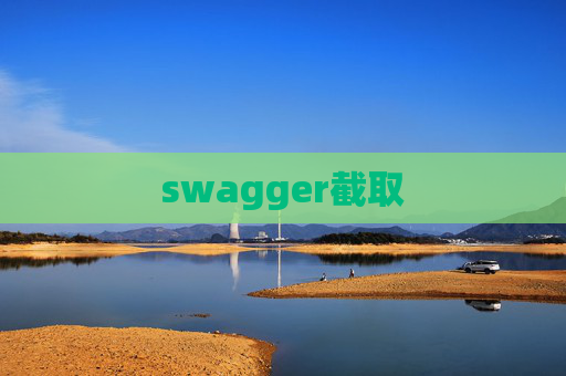 swagger截取